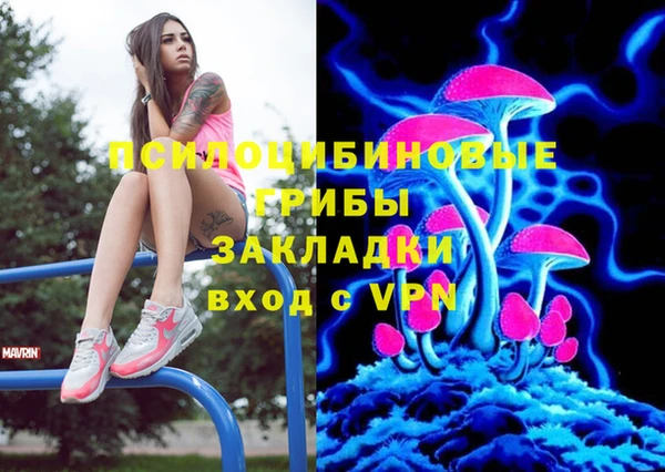 дмт Елабуга