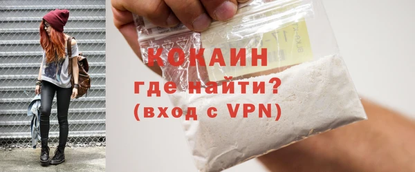 стаф Елизово