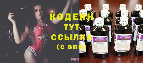 стаф Елизово