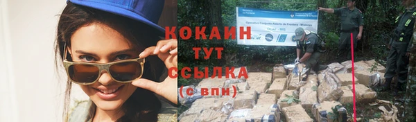 герыч Ельня