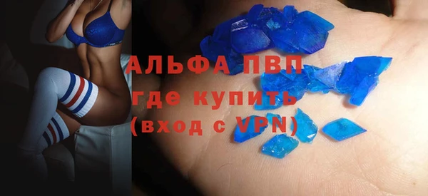 стаф Елизово