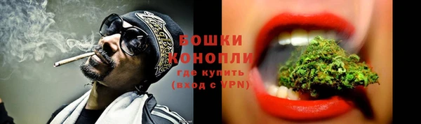 стаф Елизово