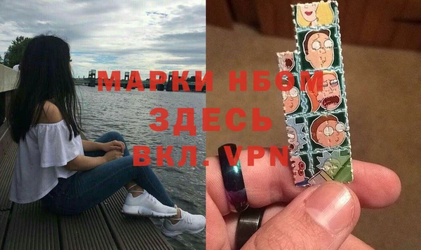 дмт Елабуга