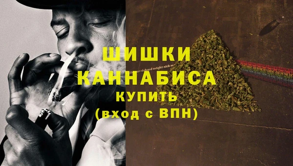 стаф Елизово