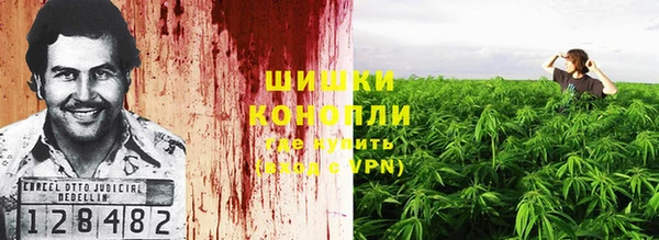 дмт Елабуга