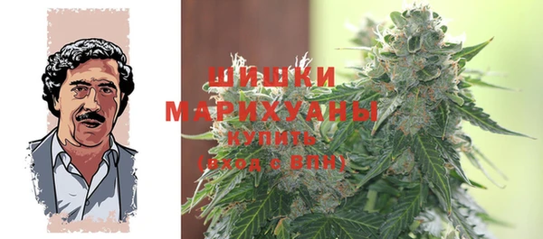 дмт Елабуга