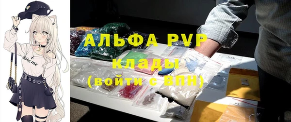 стаф Елизово