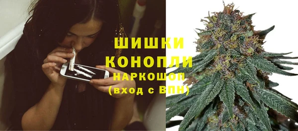 стаф Елизово