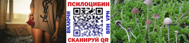 Псилоцибиновые грибы GOLDEN TEACHER  Среднеколымск 